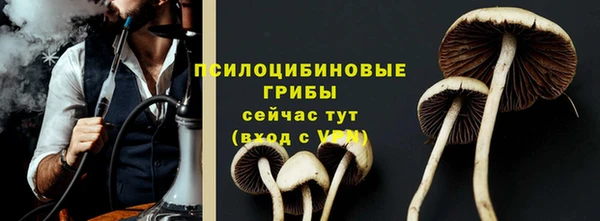 прущая мука Верхний Тагил
