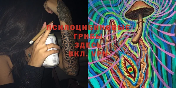 spice Вязьма